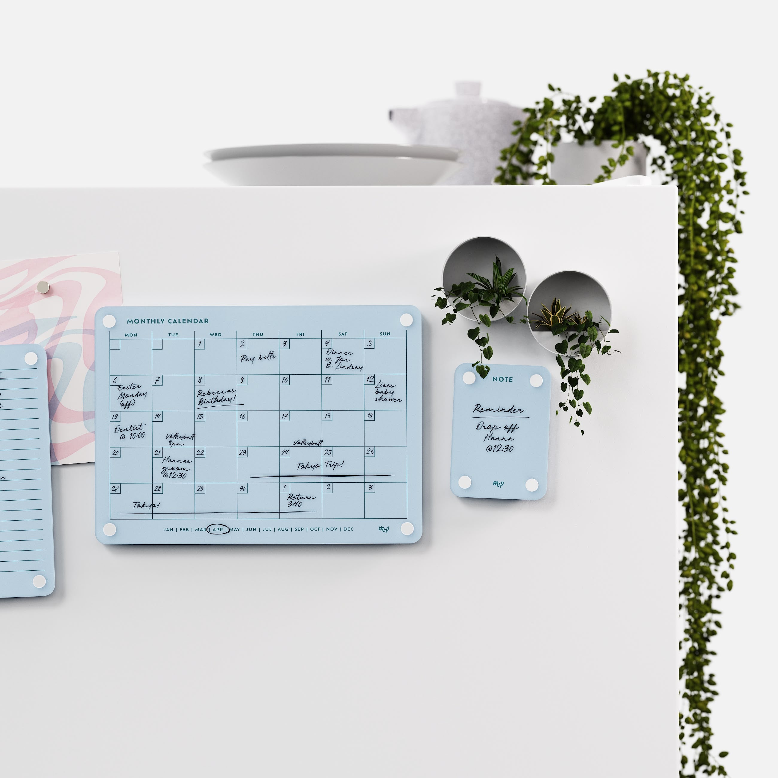 Vista blue monthly calendar and note board on a white kitchen wall with magnetic planters and trailing ivy